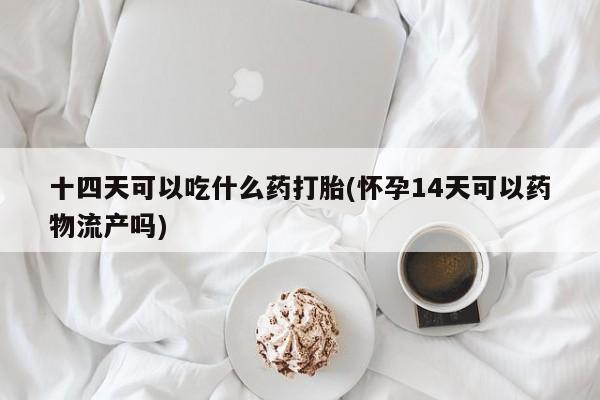 流产药微信购买联系方式十四天可以吃什么药打胎(怀孕14天可以药物流产吗)